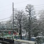 Thumbnail of related posts 144