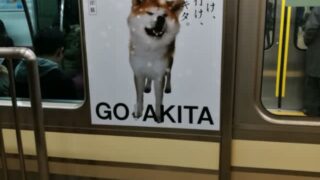 Thumbnail of post image 189