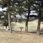 Thumbnail of related posts 038