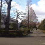 Thumbnail of related posts 197