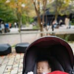 Thumbnail of related posts 118