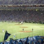 Thumbnail of post image 003