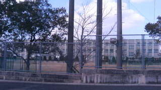 Thumbnail of post image 109