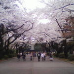 Thumbnail of related posts 043