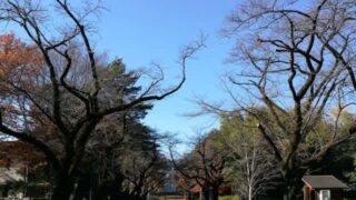 Thumbnail of post image 016