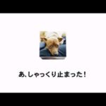 Thumbnail of post image 038