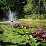 Thumbnail of related posts 145