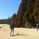 Thumbnail of related posts 077