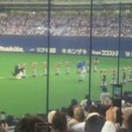 Thumbnail of related posts 175