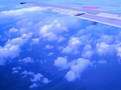 Thumbnail of post image 144