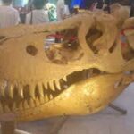 Thumbnail of related posts 198