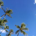 Thumbnail of related posts 141