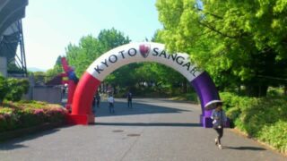 Thumbnail of post image 196