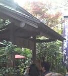 Thumbnail of related posts 155