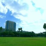 Thumbnail of post image 087