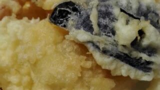 Thumbnail of post image 100