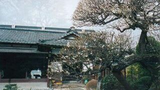 Thumbnail of post image 191