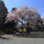 Thumbnail of post image 115