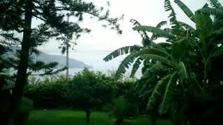 Thumbnail of post image 036