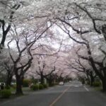 Thumbnail of post image 108