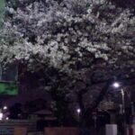 Thumbnail of post image 043