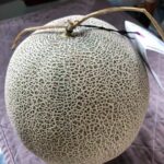 Thumbnail of post image 194