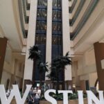 Thumbnail of related posts 174