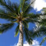 Thumbnail of post image 064