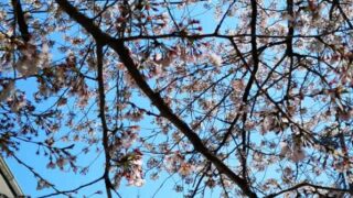 Thumbnail of post image 157