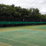 Thumbnail of related posts 141