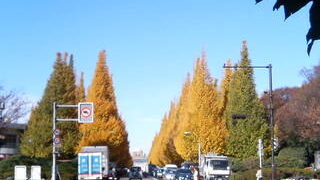 Thumbnail of post image 182