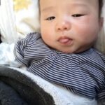 Thumbnail of related posts 172