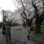 Thumbnail of related posts 061