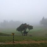 Thumbnail of post image 139