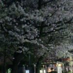 Thumbnail of post image 171