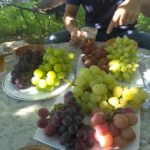 Thumbnail of related posts 149