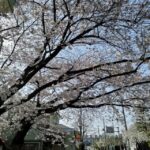 Thumbnail of related posts 111