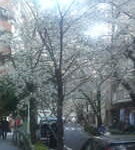 Thumbnail of related posts 110