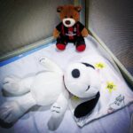 Thumbnail of related posts 182