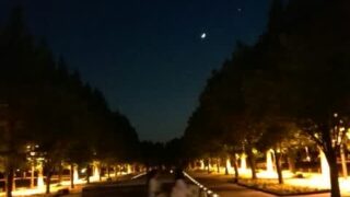 Thumbnail of post image 008