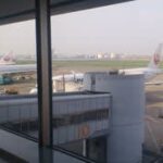 Thumbnail of related posts 113