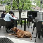 Thumbnail of post image 031