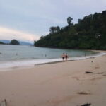 Thumbnail of related posts 155