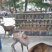 Thumbnail of post image 042