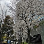 Thumbnail of related posts 005