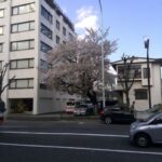 Thumbnail of related posts 039