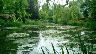 Thumbnail of post image 048