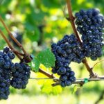 Thumbnail of related posts 139