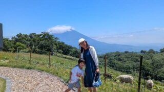 Thumbnail of post image 085