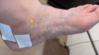 Thumbnail of post image 052